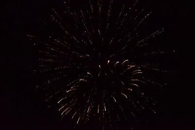 DSC_3402 (Large).JPG